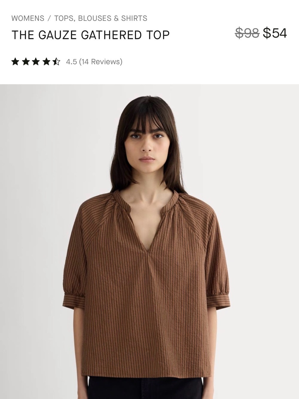 Everlane Striped Button-Up Blouse in Dusty Rose and Brown Organic Cotton XXS